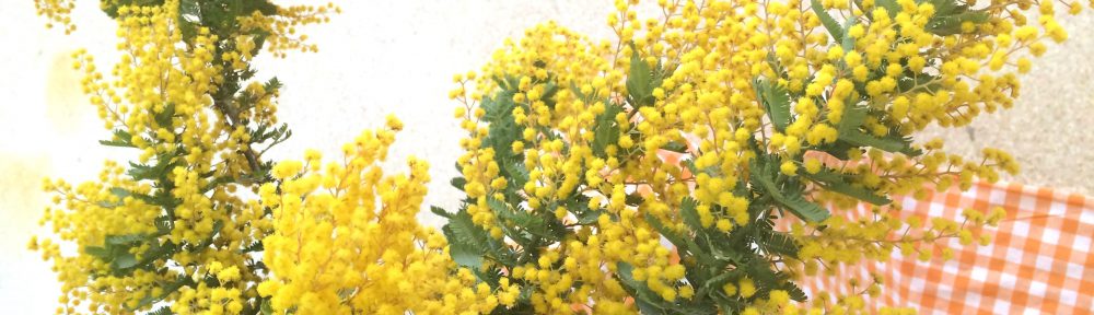 MIMOSA